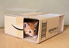 kiku_in_amazonbox.jpg