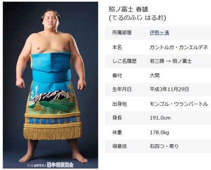 terunofuji.jpg